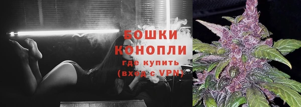 молекула духа Навашино
