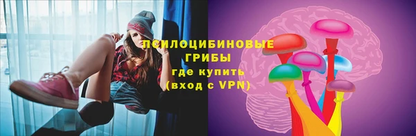 прущий лед Гусев