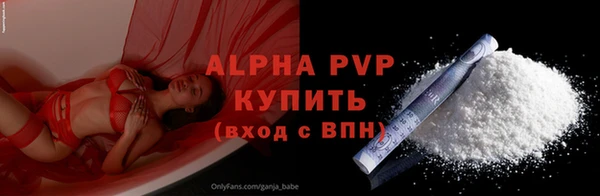 прущий лед Гусев
