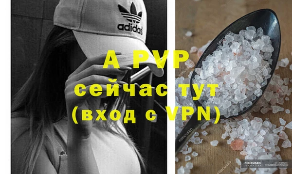 прущий лед Гусев